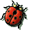 ladybug3.gif